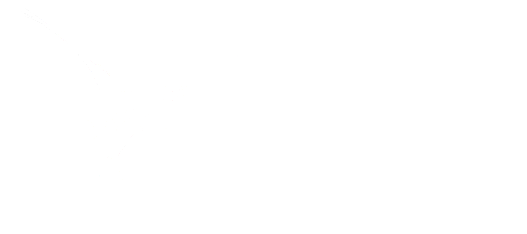 Rastreador e Gestão Veicular Logo