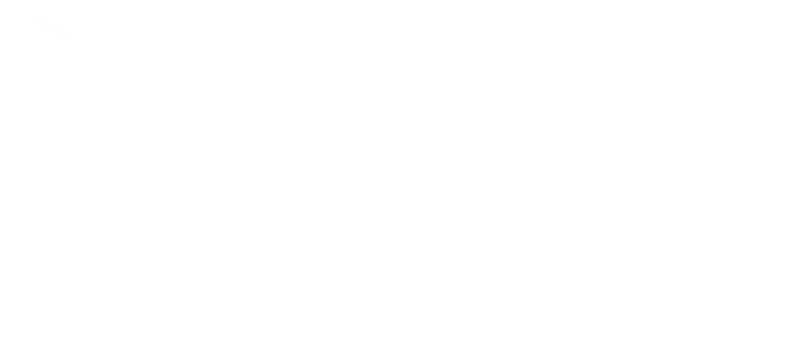 Rastreador e Gestão Veicular Logo